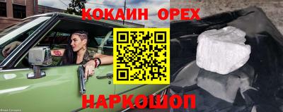 сатива Кингисепп