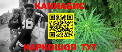 сатива Кингисепп