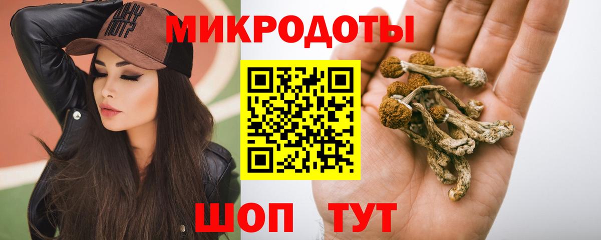 Лениногорск  Галлюциногенные грибы GOLDEN TEACHER  Вход с VPN 
